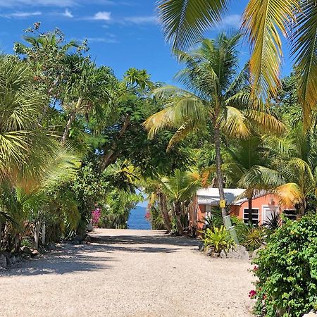 The Pelican Key Largo Cottages Ngoại thất bức ảnh