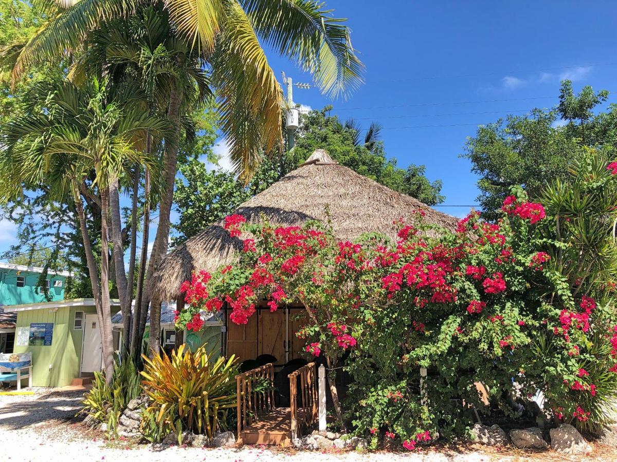 The Pelican Key Largo Cottages Ngoại thất bức ảnh