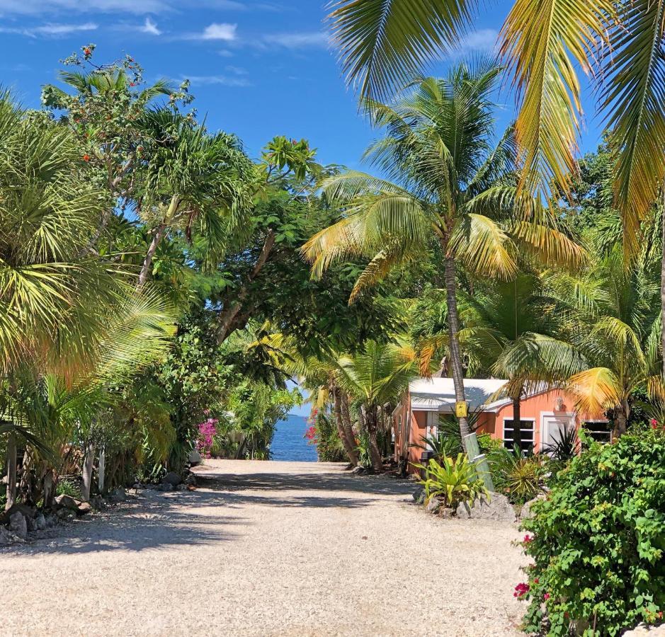 The Pelican Key Largo Cottages Ngoại thất bức ảnh