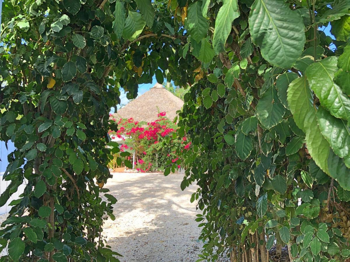 The Pelican Key Largo Cottages Ngoại thất bức ảnh
